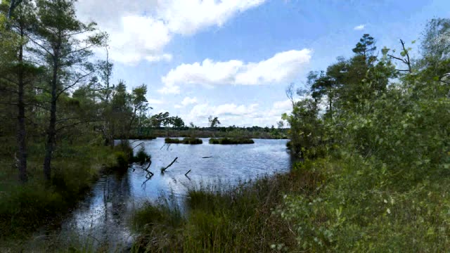 Zeitraffer: Pietzmoor (Pietzmoor, Schneverdingen · Lüneburger Heide)