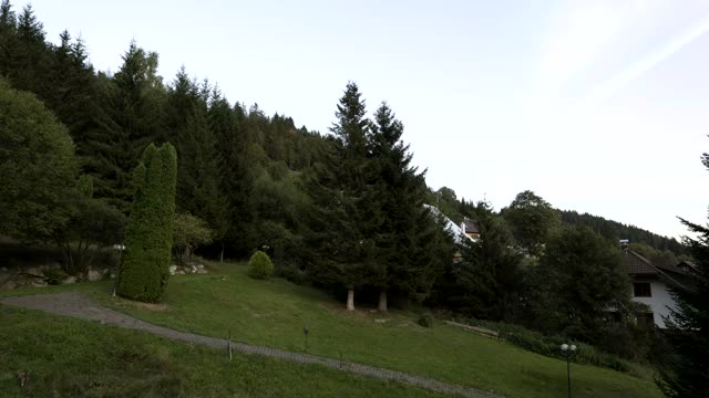 Zeitraffer: Schwarzwald am Abend (Schwarzwald)