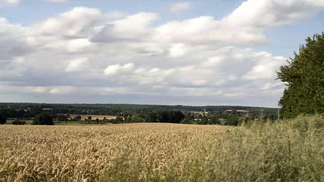 Zeitraffer: Blick auf Garlstorf (Garlstorf · Lüneburger Heide)