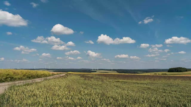 Zeitraffer: Dannenrod – Teil 2 (Dannenrod · Vogelsberg)