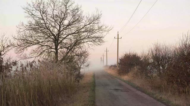 Zeitraffer: Morgennebel in der Elbmarsch (bei Oldershausen · Elbe & Elbmarsch)
