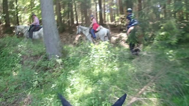 Zeitraffer: Kleinkahl im Spessart (Kleinkahl · Spessart)