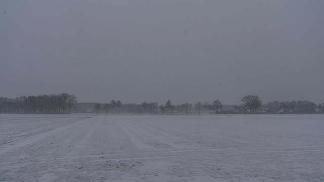 Zeitraffer: Schneesturm (Mechtersen · Lüneburger Heide)