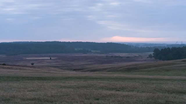 Zeitraffer: Tütsberg – Sonnenaufgang (Tütsberg · Lüneburger Heide)