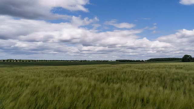Zeitraffer: Gerstenfeld (bei Brambow (Schwerin) · Mecklenburg)