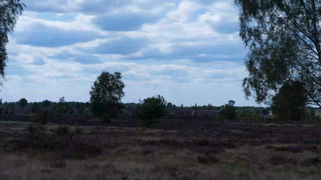 Zeitraffer: Lüneburger Heide – Teil 1 (Lüneburger Heide)