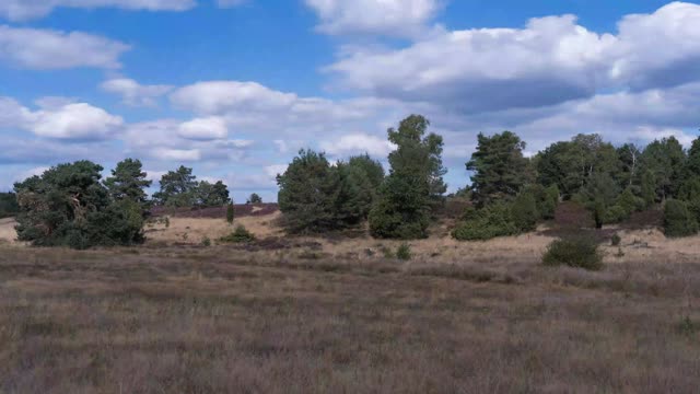 Zeitraffer: Lüneburger Heide – Teil 2 (Lüneburger Heide)