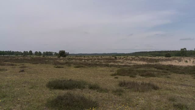 Zeitraffer: Tütsberg – Teil 2 (Tütsberg · Lüneburger Heide)